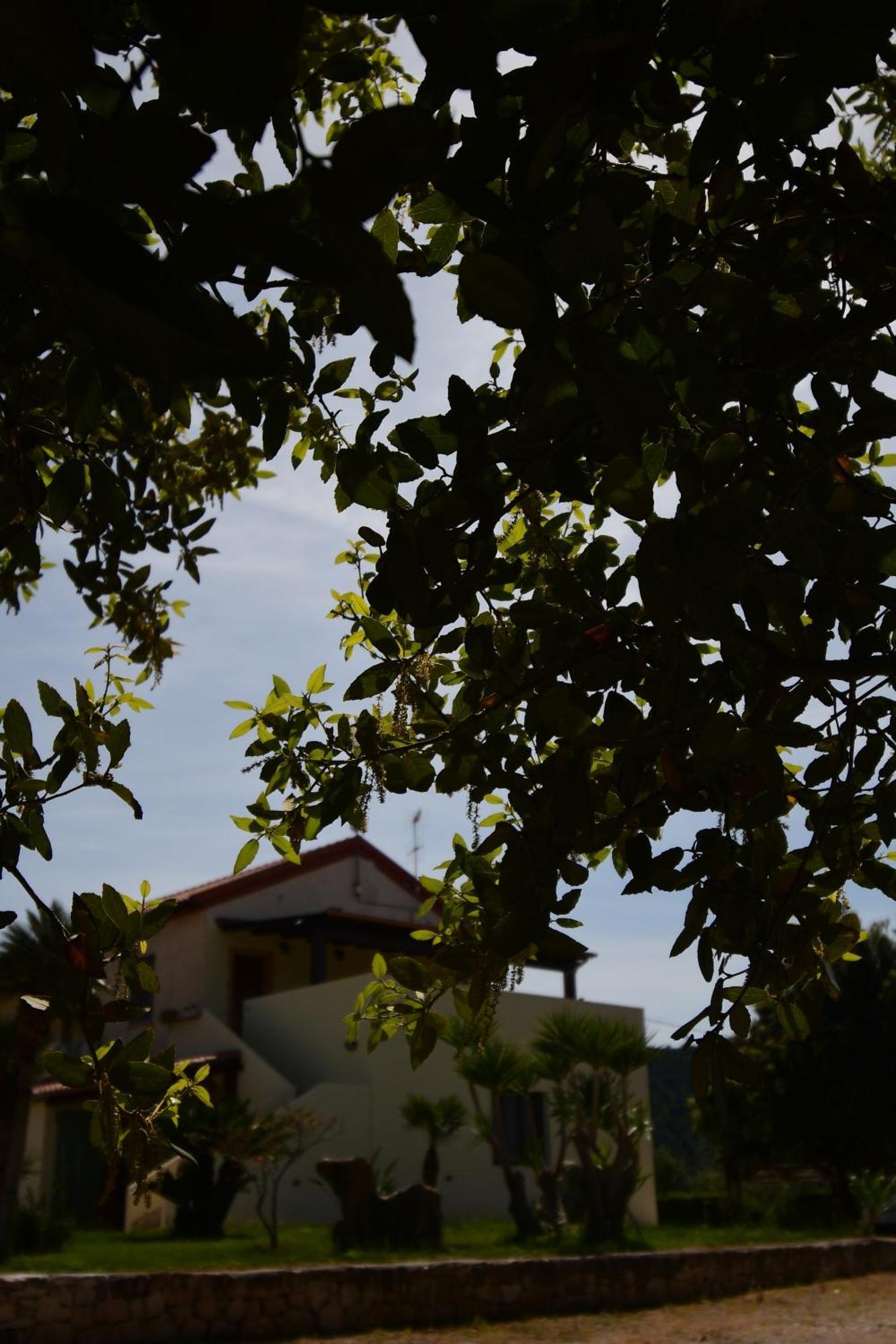Fattoria La Traccia Villa เฟอร์ติเลีย ภายนอก รูปภาพ